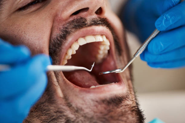 Best Traditional Braces  in Parshall, ND